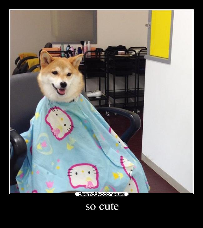 so cute -