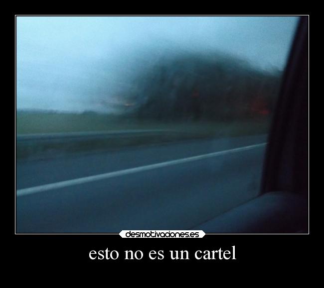 carteles tonto desmotivaciones