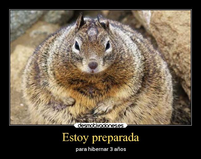carteles tonto humor animales ardillas desmotivaciones
