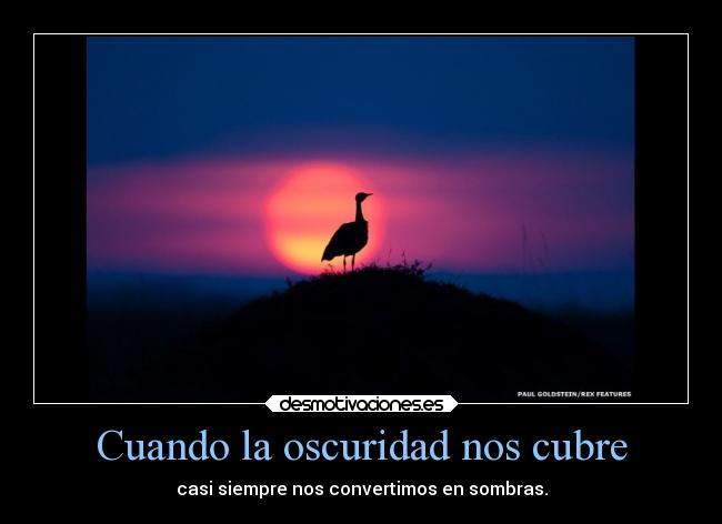 Cuando la oscuridad nos cubre - casi siempre nos convertimos en sombras.