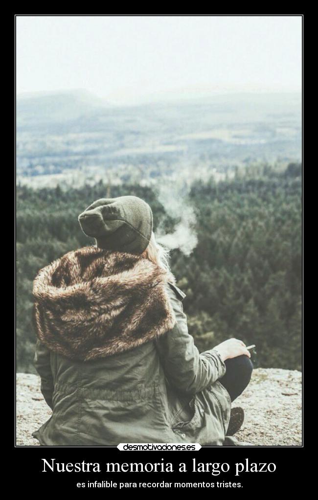 Nuestra memoria a largo plazo - 