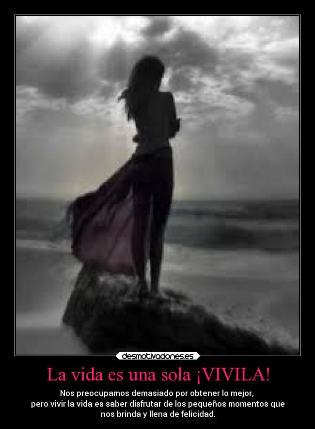 La vida es una sola ¡VIVILA! -