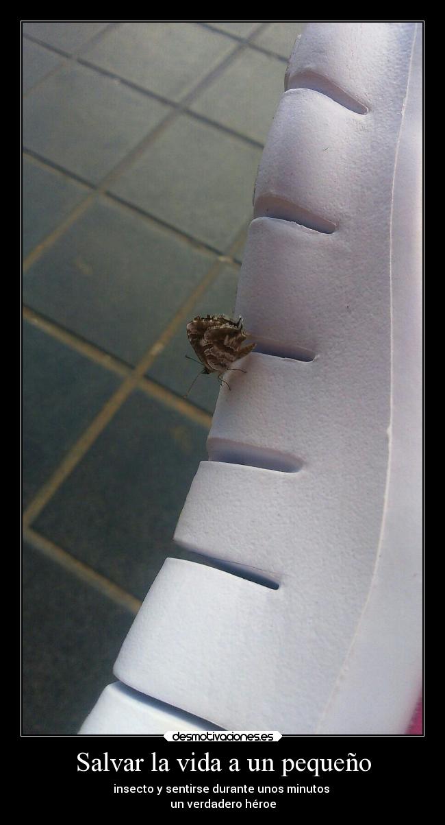 carteles vida alma desmotivaciones