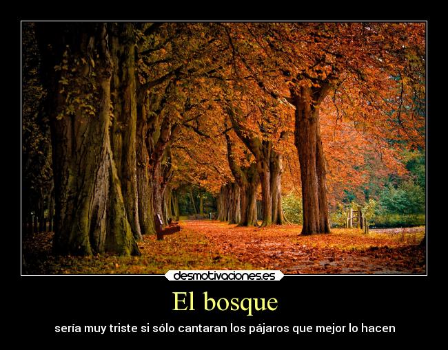 carteles vida animales desmotivaciones