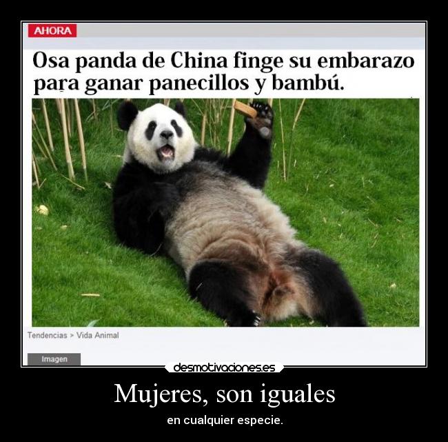 Mujeres, son iguales - 