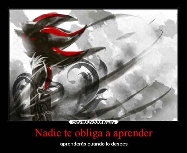 Nadie te obliga a aprender - aprenderás cuando lo desees