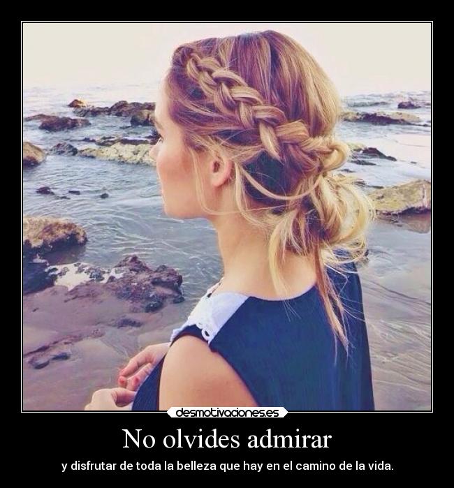 carteles vida belleza desmotivaciones