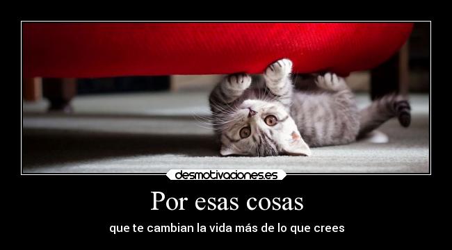 Por esas cosas - que te cambian la vida más de lo que crees