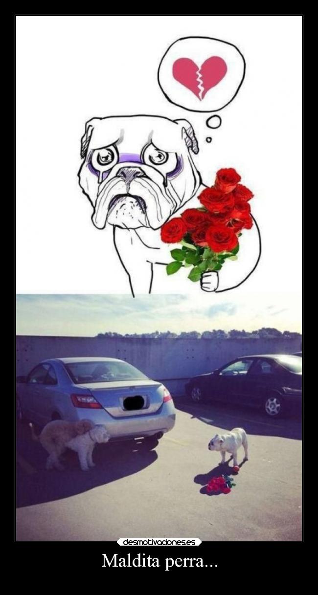 carteles vida chicadefuego desmotivaciones