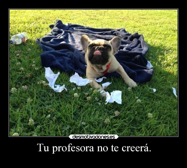 carteles vida chicadefuego desmotivaciones