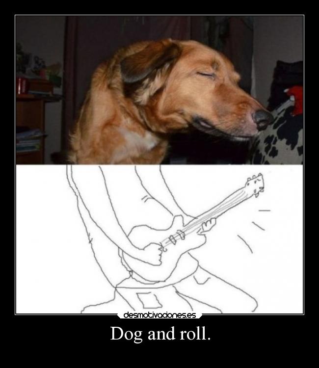 Dog and roll. - 