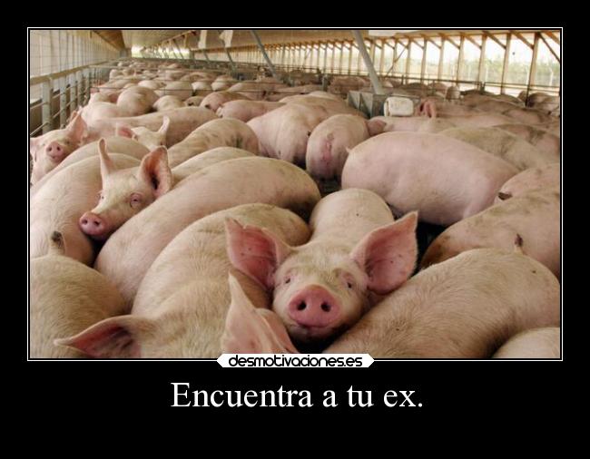 carteles vida chicadefuego desmotivaciones