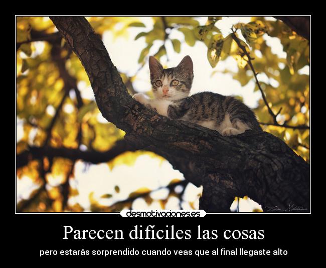 carteles vida confianza desmotivado15 desmotivaciones