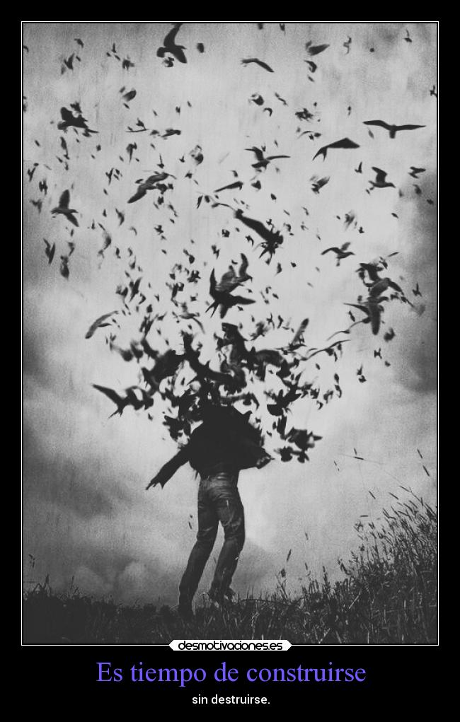 carteles vida construirse destruirse cartel resubido tropecientas veces imagen mas decente amigusto xdd mels desmotivaciones