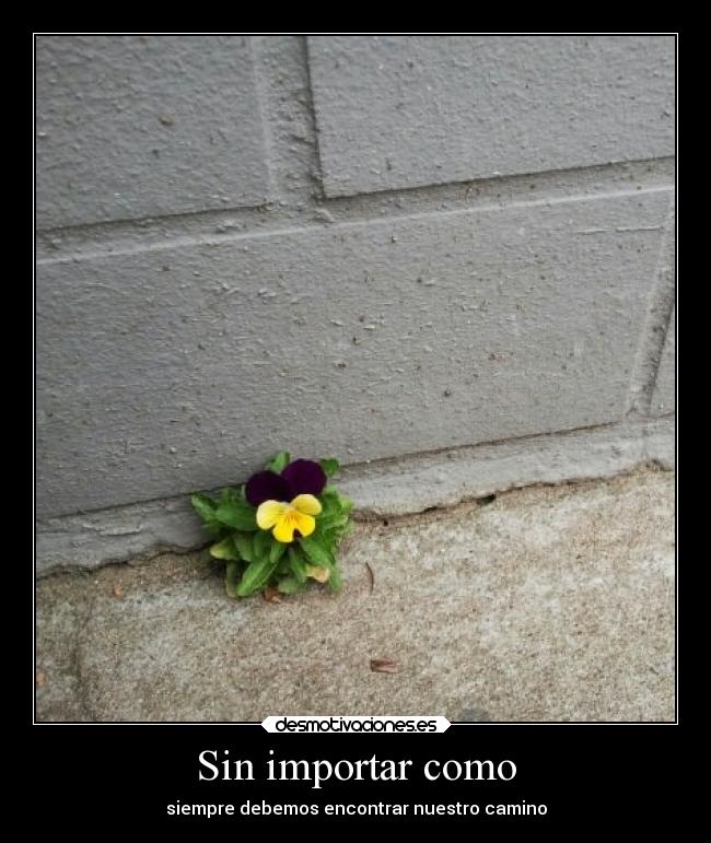 Sin importar como - siempre debemos encontrar nuestro camino