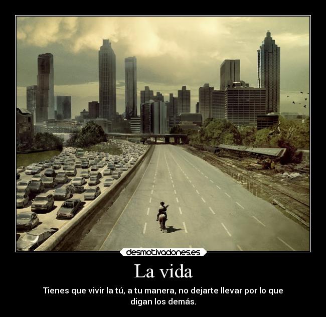 carteles vida vida desmotivaciones
