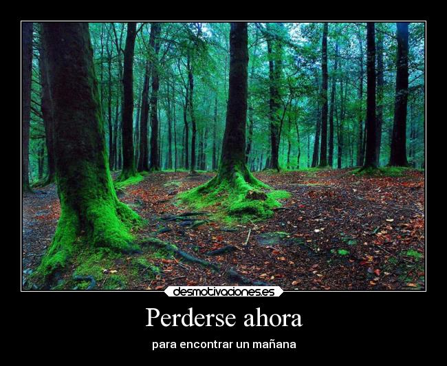Perderse ahora -