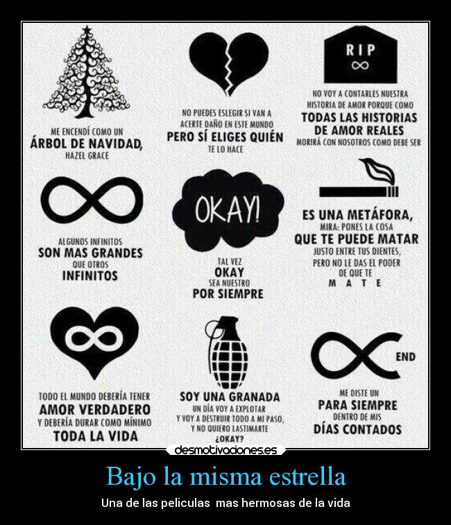 Bajo la misma estrella -