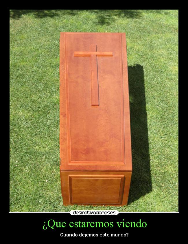 ¿Que estaremos viendo - 