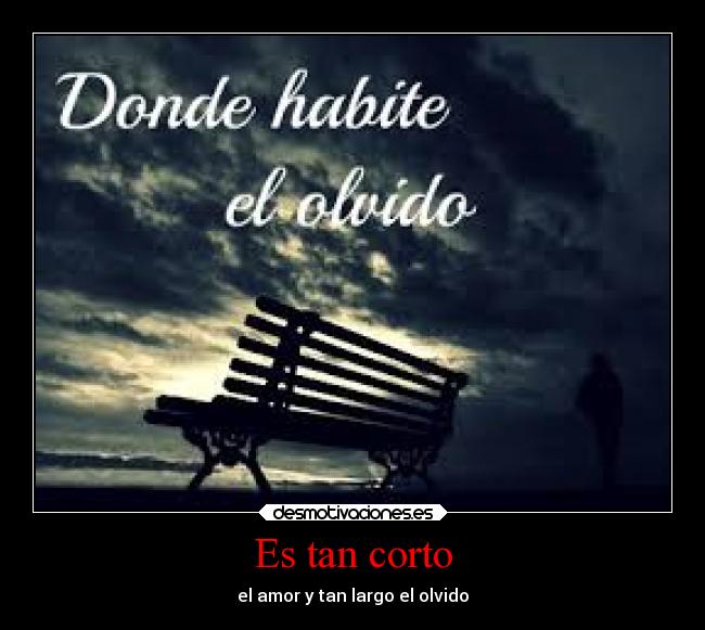 Es tan corto - el amor y tan largo el olvido