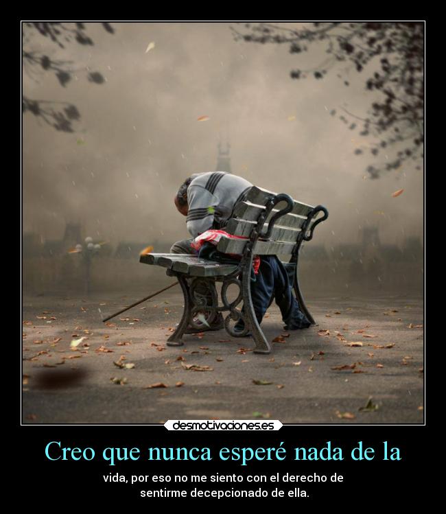 Creo que nunca esperé nada de la - 