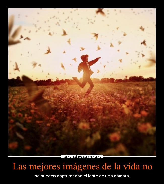 Las mejores imágenes de la vida no - se pueden capturar con el lente de una cámara.