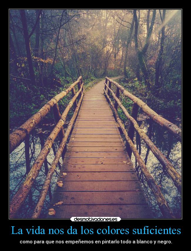 La vida nos da los colores suficientes - como para que nos empeñemos en pintarlo todo a blanco y negro.