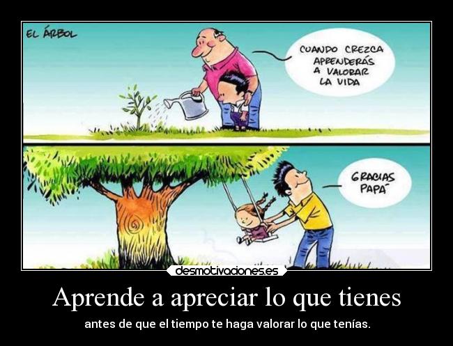 Aprende a apreciar lo que tienes -