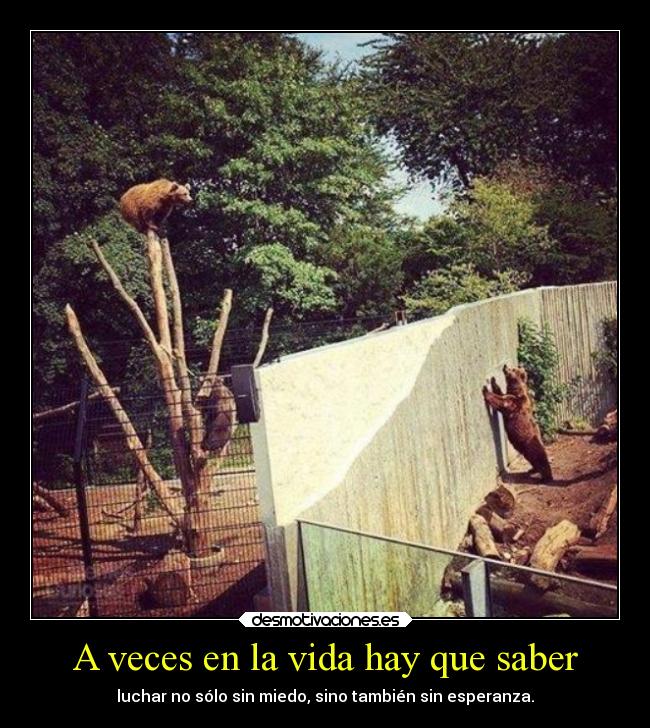 carteles vida esperanza miedo vida desmotivaciones