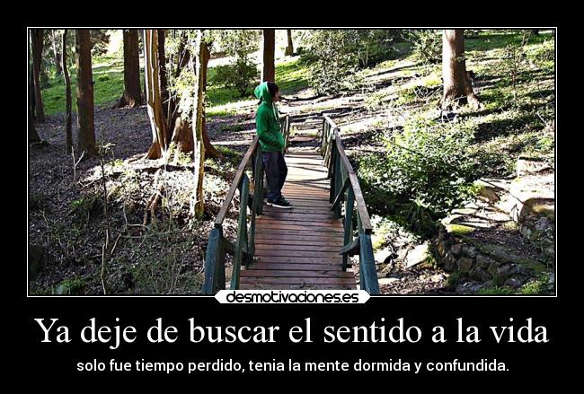 carteles vida fiesta destino deseos desamor debilidad criticas confianza ayuda ausencia animales amor amigos alma desmotivaciones