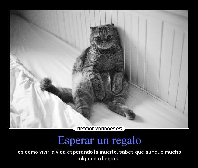 Esperar un regalo - es como vivir la vida esperando la muerte, sabes que aunque mucho
algún día llegará.