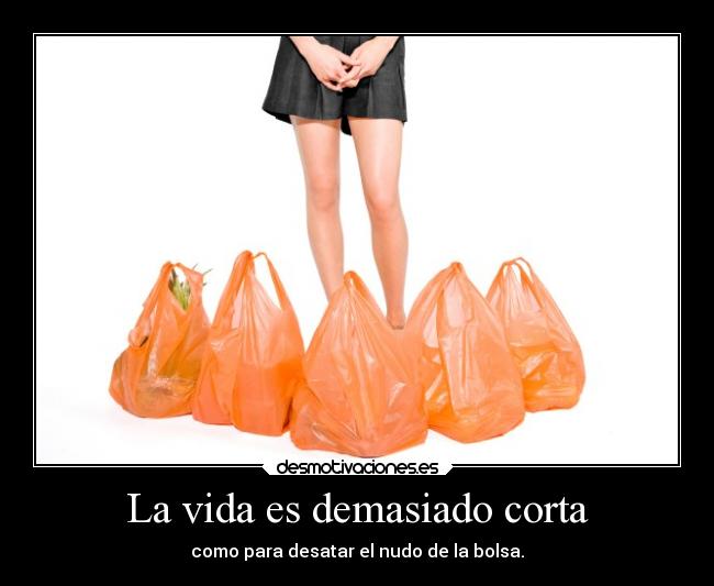 carteles vida vida humor bolsas twitter sk28 desmotivaciones