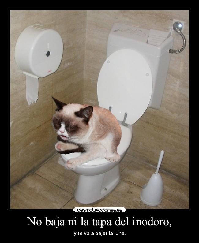 No baja ni la tapa del inodoro, - y te va a bajar la luna.