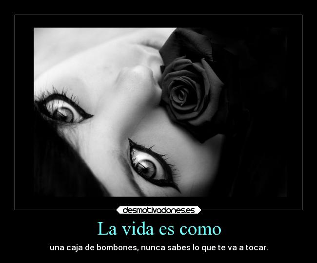 La vida es como - una caja de bombones, nunca sabes lo que te va a tocar.