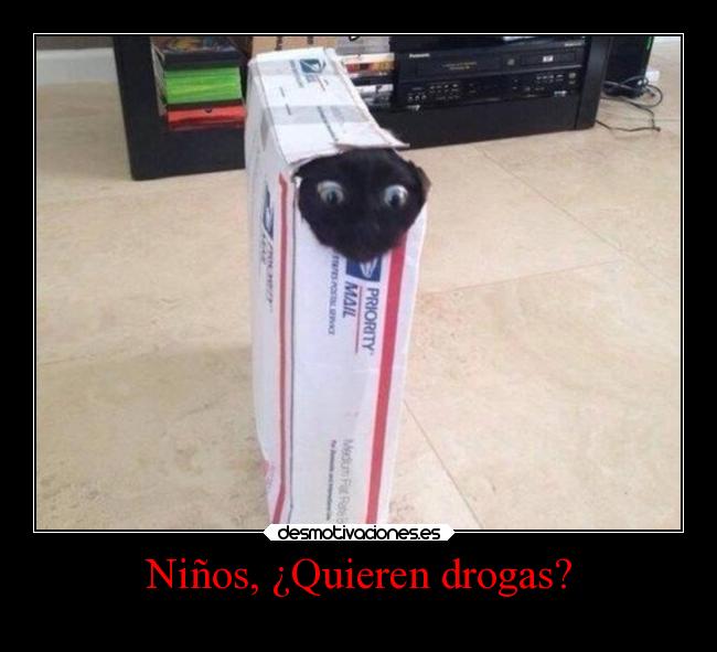 Niños, ¿Quieren drogas? -