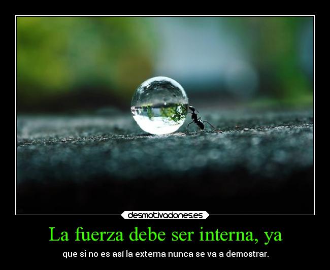 La fuerza debe ser interna, ya -