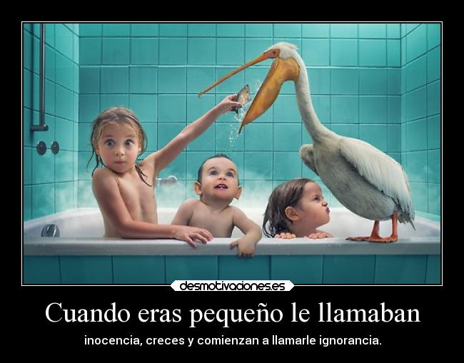 Cuando eras pequeño le llamaban - inocencia, creces y comienzan a llamarle ignorancia.