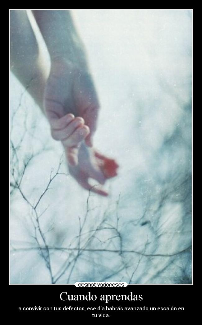 carteles vida oshekeriko superacion defectos desmotivaciones