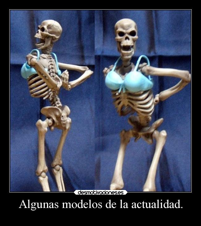 Algunas modelos de la actualidad. -