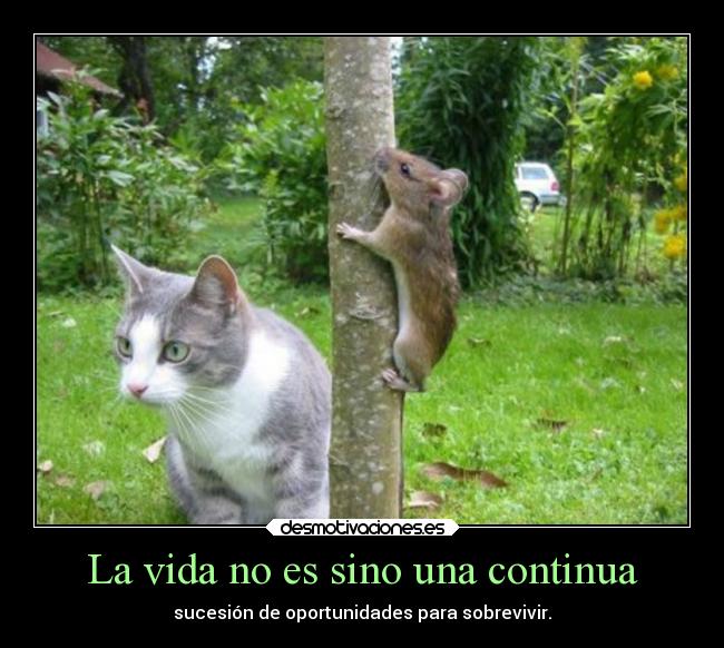 carteles vida problemas vida desmotivaciones