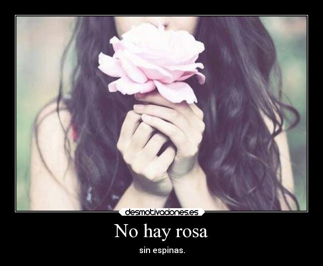 No hay rosa - 