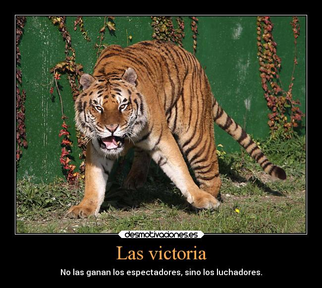 Las victoria - No las ganan los espectadores, sino los luchadores.