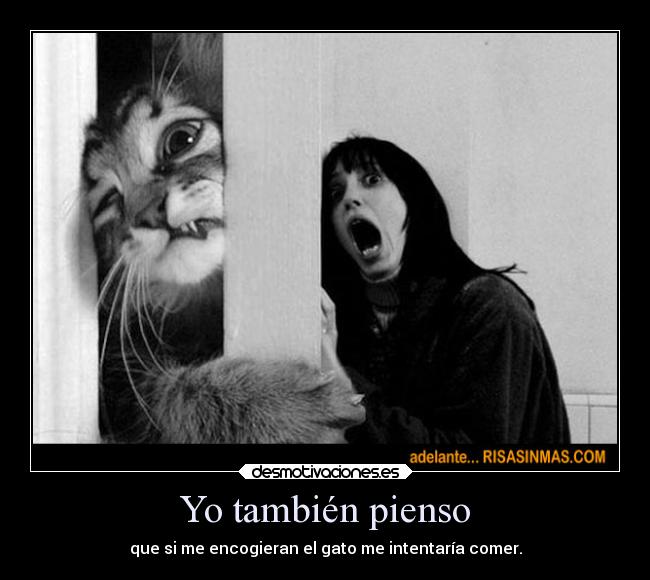 Yo también pienso - que si me encogieran el gato me intentaría comer.