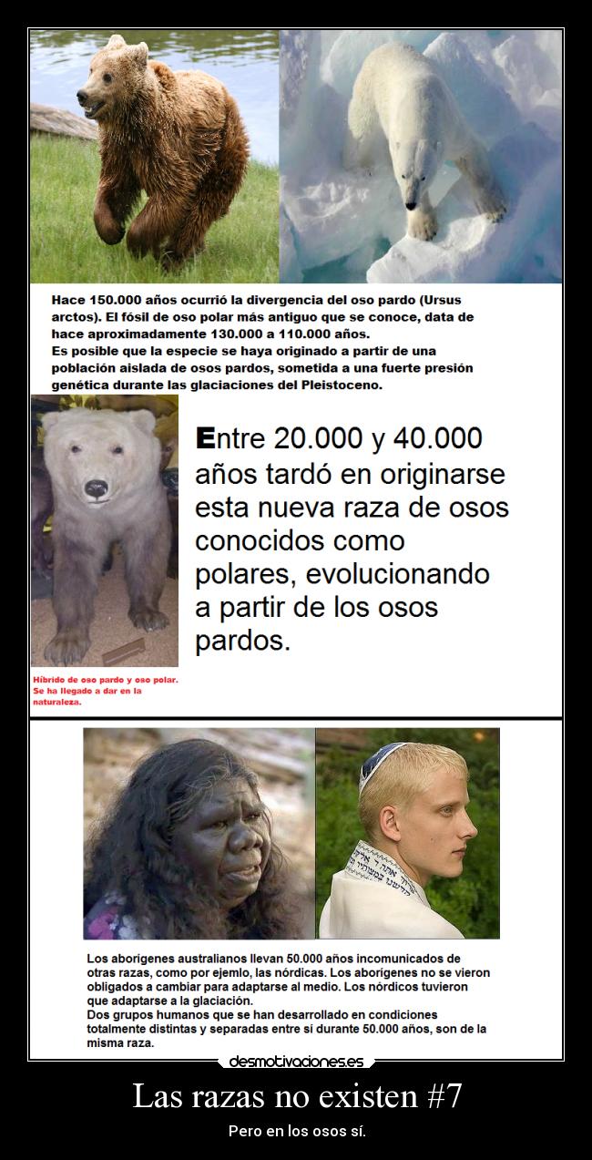 Las razas no existen #7 -