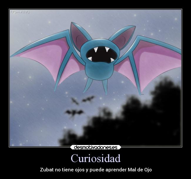 Curiosidad - Zubat no tiene ojos y puede aprender Mal de Ojo