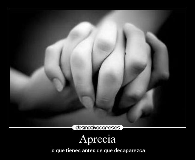 carteles alegria aprecia desaparecer desmotivaciones