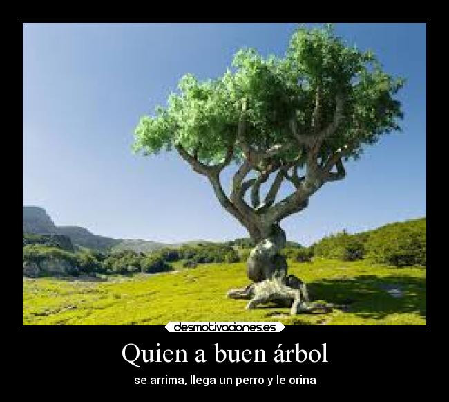 Quien a buen árbol - se arrima, llega un perro y le orina