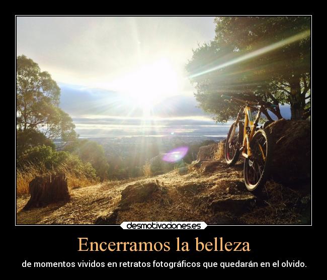 Encerramos la belleza - de momentos vividos en retratos fotográficos que quedarán en el olvido.