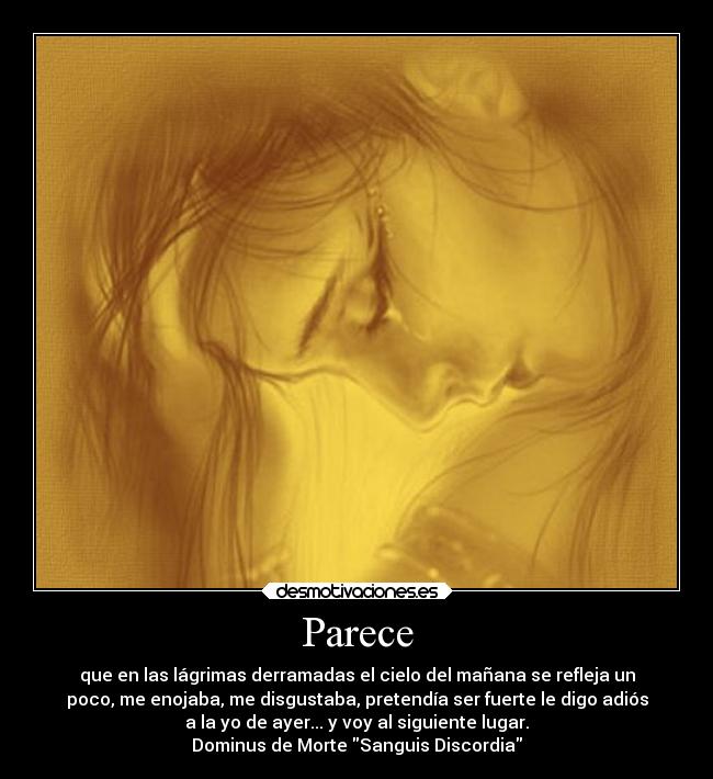 Parece - que en las lágrimas derramadas el cielo del mañana se refleja un
poco, me enojaba, me disgustaba, pretendía ser fuerte le digo adiós
a la yo de ayer... y voy al siguiente lugar.
Dominus de Morte Sanguis Discordia