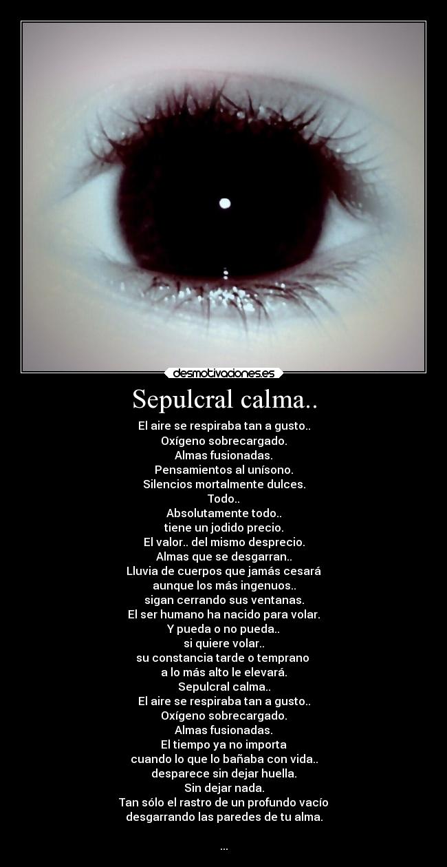 carteles alma sinoloentiendesmeloresbalaolimpicamenteporquenopiensoexplicarlo desmotivaciones